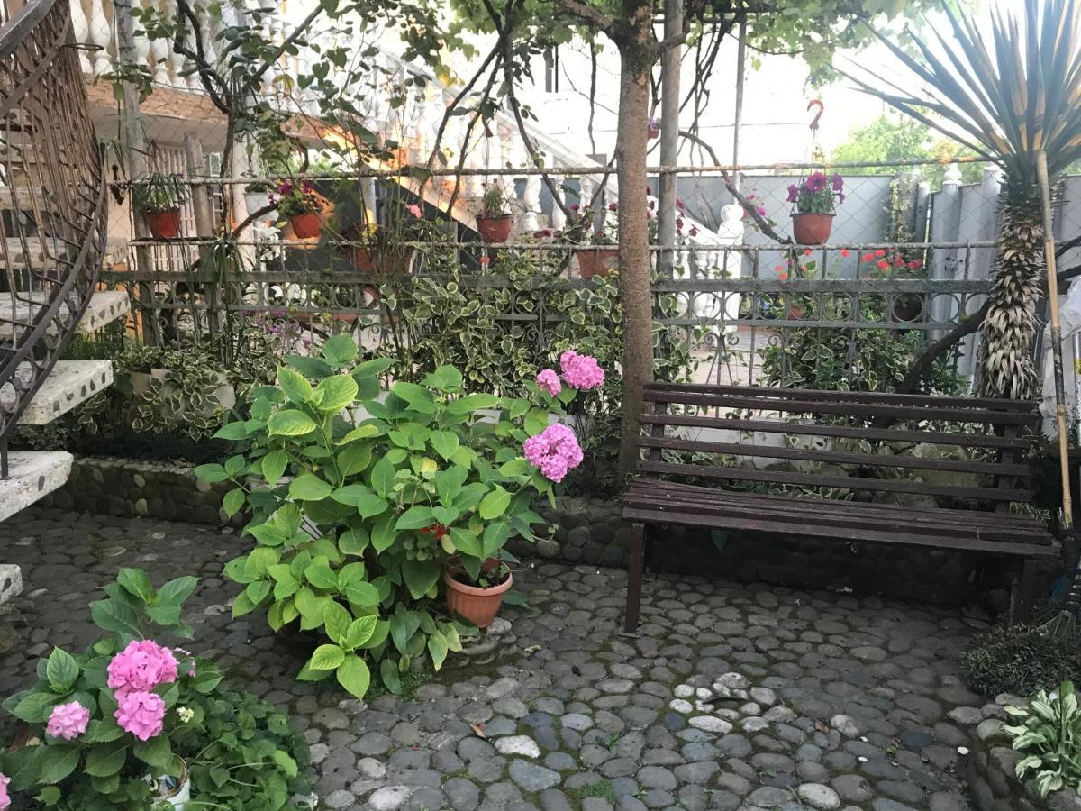 Summer Sohum Dış mekan fotoğraf