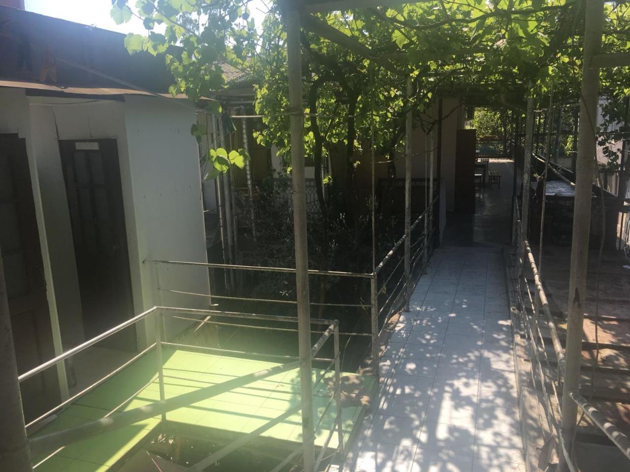Summer Sohum Dış mekan fotoğraf